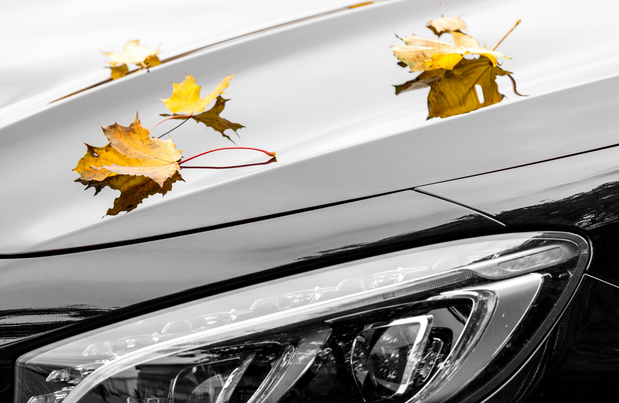 Explicación de los beneficios específicos del diagnóstico a domicilio para autos premium.